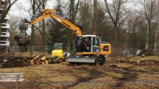 Baumfällarbeiten im Leonorenpark in Lankwitz (Quelle: rbb/Miriam Keuter)